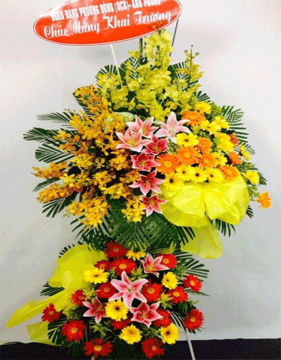 Hoa Khai Trương - HKT 68