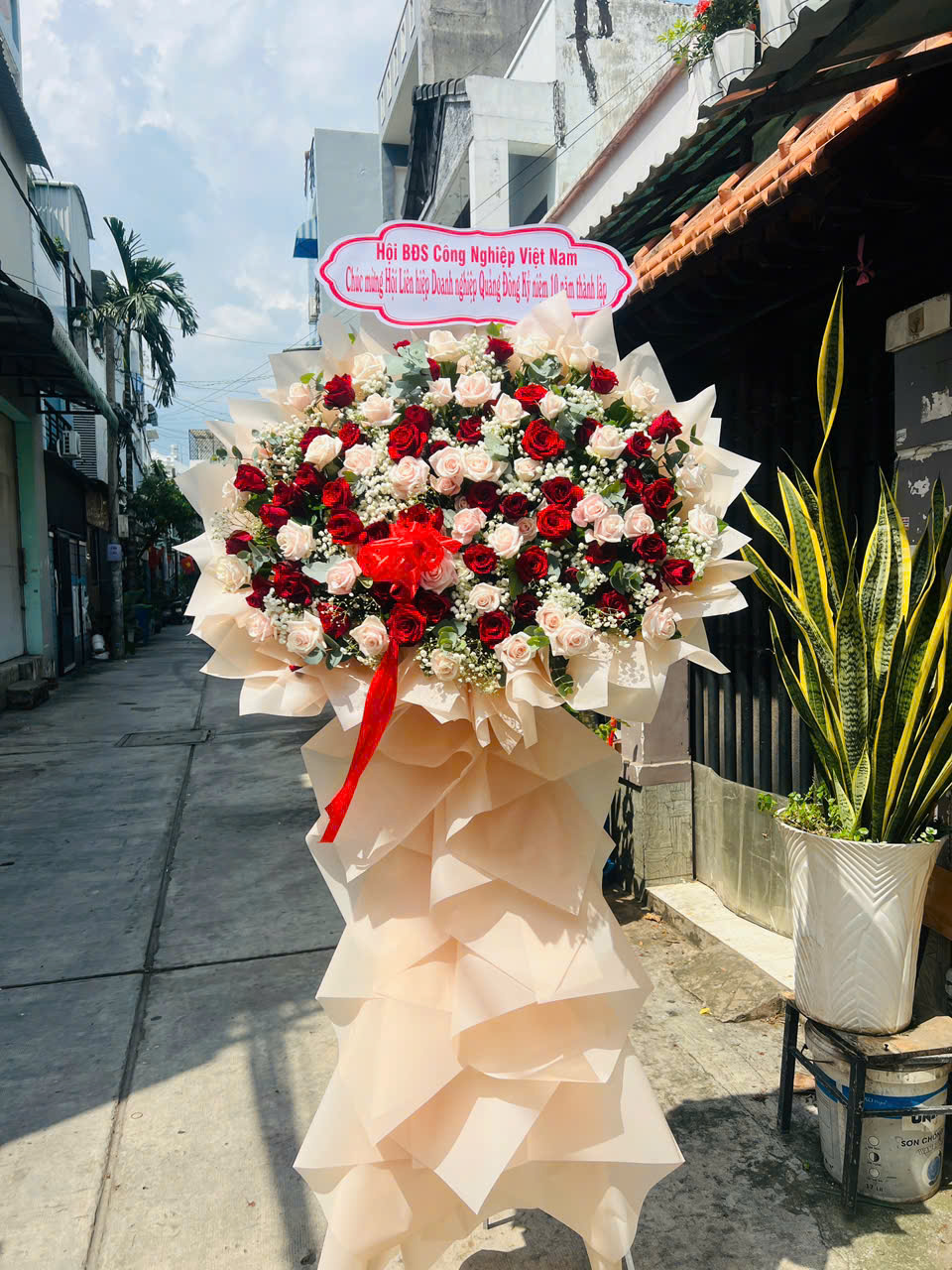 Shop Hoa Tươi Phường Bến Tre