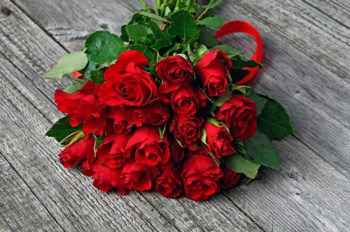 hoa hồng đỏ biểu tượng cho tình yêu