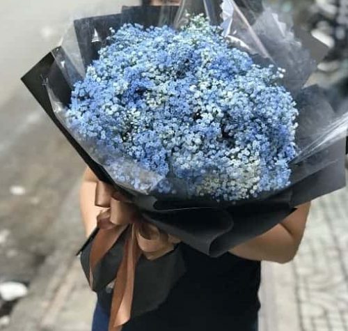 hoa baby xanh