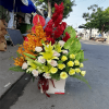 hoa giỏ 70