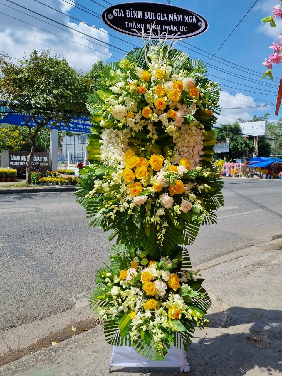 Hình ảnh hoa đi đám tang