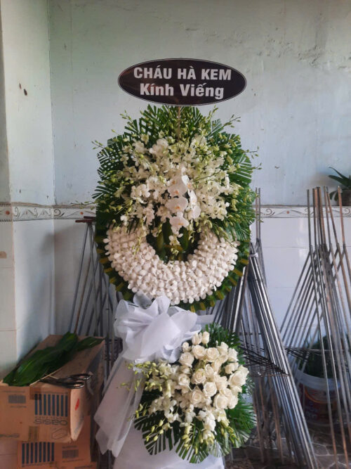 Hoa Tang Lễ Sóc Trằn