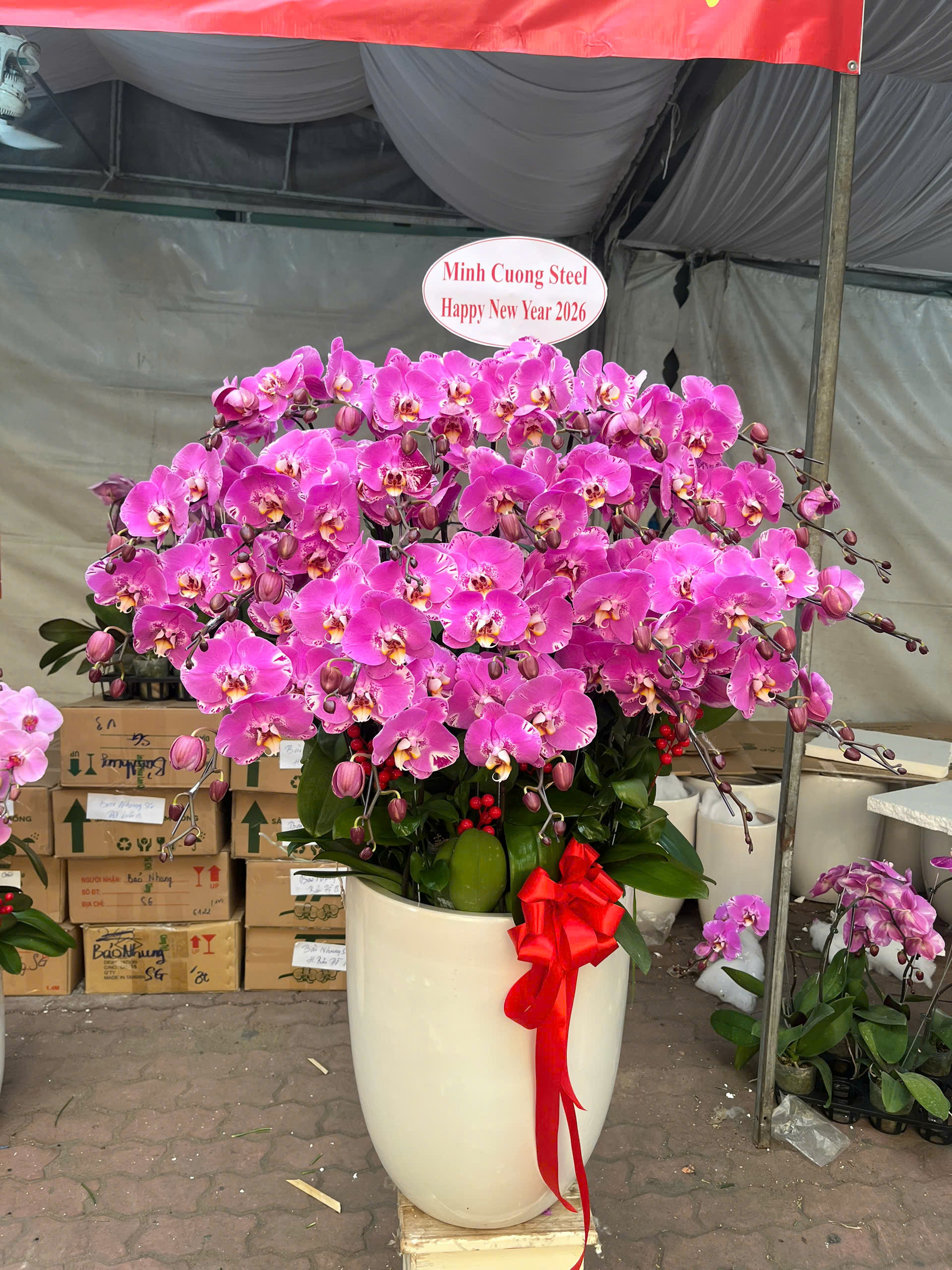 Shop Hoa Tươi Phường Trảng Bàng