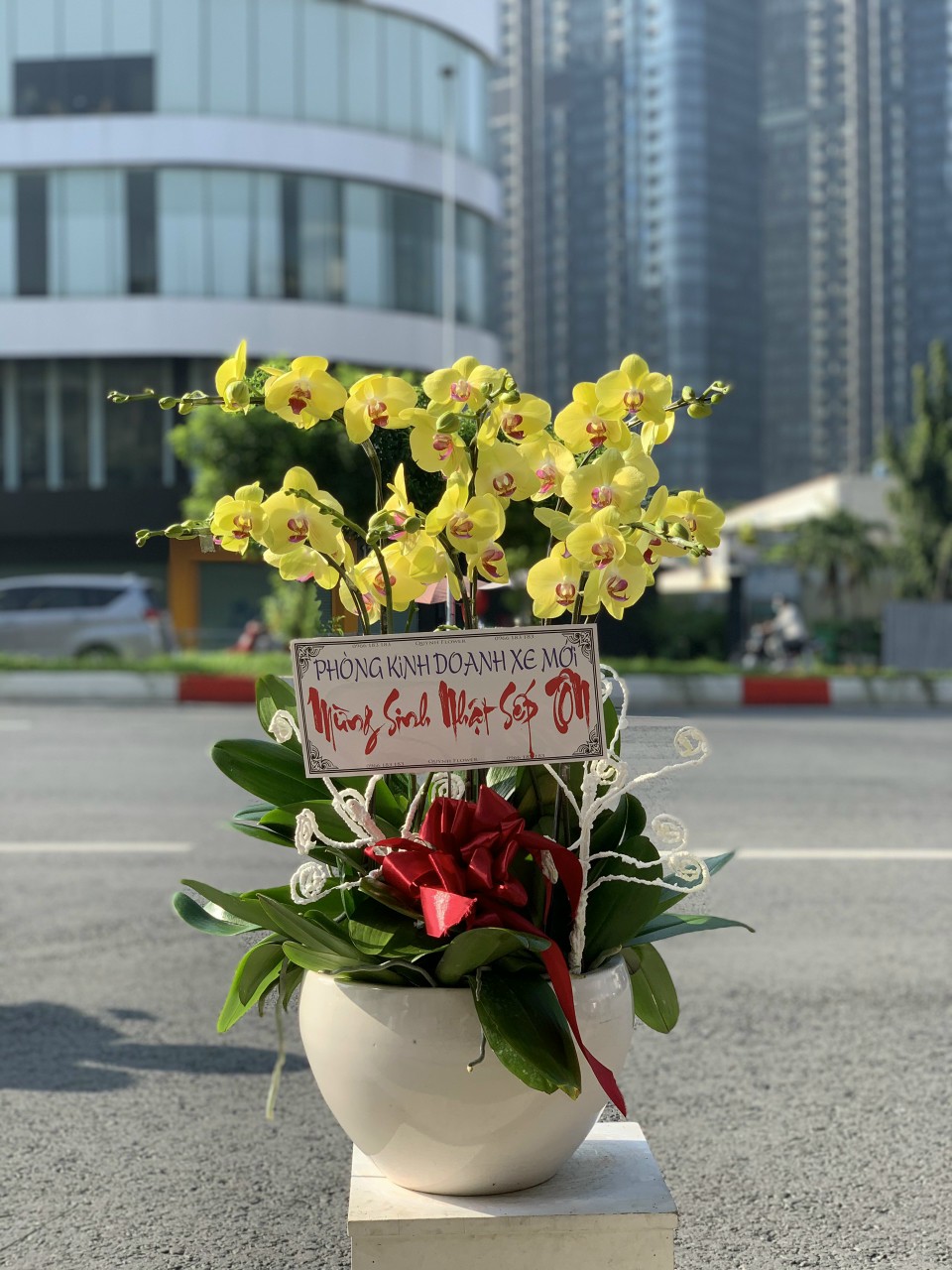 Shop Hoa Lan Hồ Điệp Phường Gia Lộc Tây Ninh