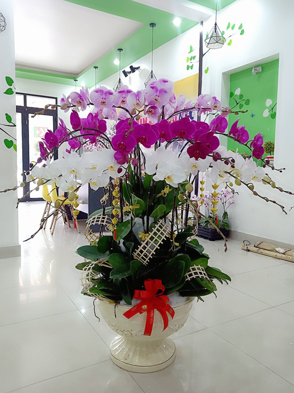 Shop Hoa Lan Hồ Điệp Phường Hòa Thành